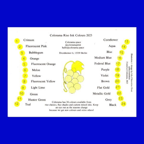 Colorsheet Fruit Basket Online-Schn?ppchen – Bild 2