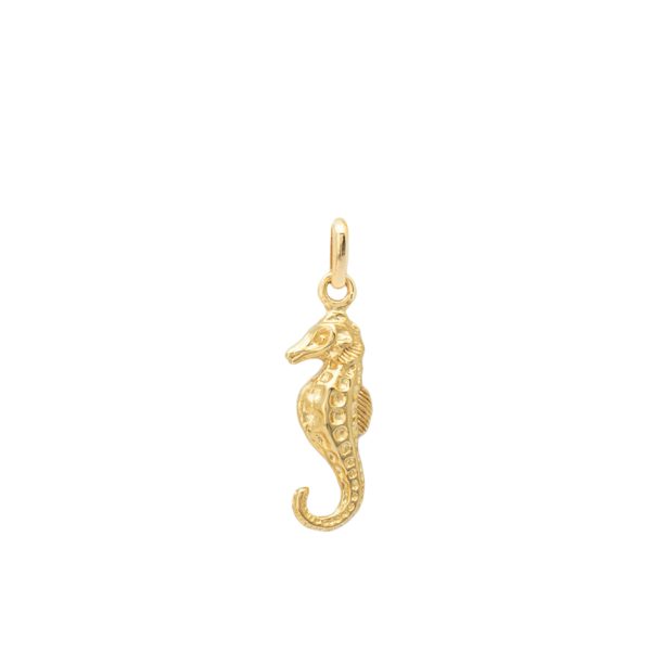 float Halsketten Anhänger Gold  Seepferdchen  Zu verkaufen
